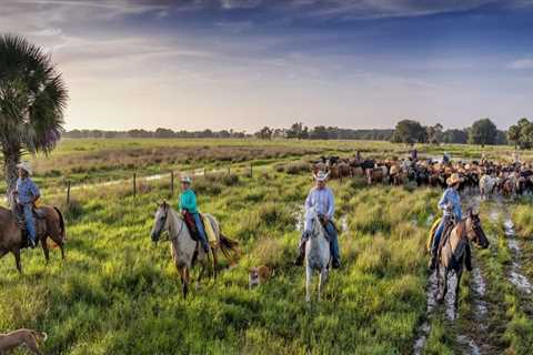 The Power of Partnerships in Habitat Conservation: A Southwest Florida Perspective