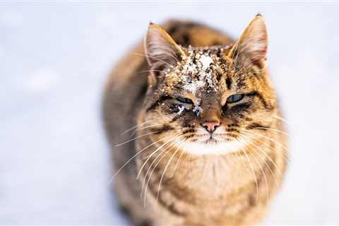 Friday Footnotes: KPMGers Bring Cheating Into the 2020s By Using AI; Deloitte Partner Graciously..