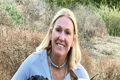 Exploring Non-Profit Pet Care Organizations in Western Washington