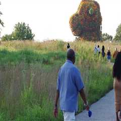 Exploring Charitable Organizations in Chevy Chase, Maryland: Locations and Impact