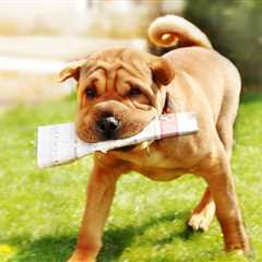 Monday Morning Accounting News Brief: Accounting Is Not Going Away (Sorry); Tax Preparers Wanted,..