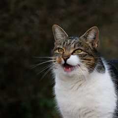 Monday Morning Accounting News Brief: What Makes People Leave Public Accounting; Indian Big 4..