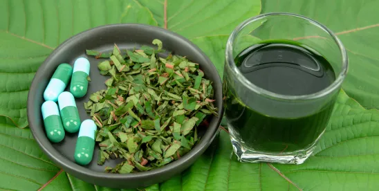 Lawsuit Brought Against Kratom (Derivative) Products- FDA Suggests Relaxed Enforcement Against..