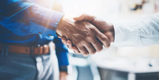 When Business Partners Abuse Trust and Transparency