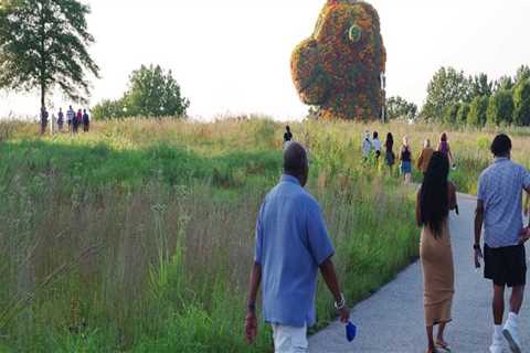 Exploring Charitable Organizations in Chevy Chase, Maryland: Locations and Impact