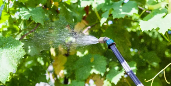 Deadline for Filing Annual Pesticide Production Reports — March 1, 2026