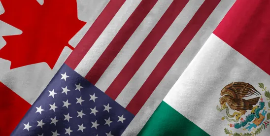 What Foreign Companies Need to Know When Entering the U.S. Government Contracts Market