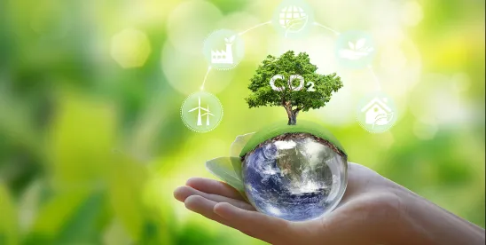 Carbon Quarterly–Volume 13