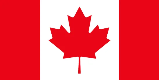 From Compliance to Litigation: How Data Privacy Practices Are Driving Class Actions in Canada