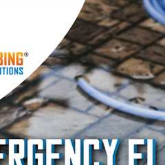 Emergency flood cleanup around Mystic and Groton · Monday, Jan 12 📸