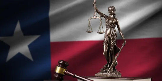 Federal Court Strikes Down Texas Anti-ESG Investment Law