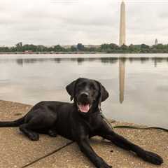 Monday Morning Accounting News Brief: EYers Complain Pettily About a Colleague’s Gift; Accountants..