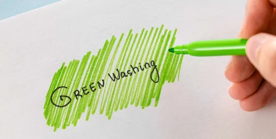 Greenhushing: The Indirect Consequence of the Crackdown on Greenwashing?