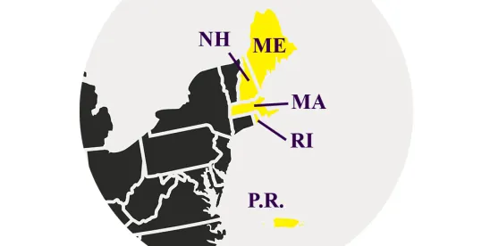 First Circuit 2025 Arbitration Update: Key Decisions Focus on Enforceability, Delegation, and Stays ..