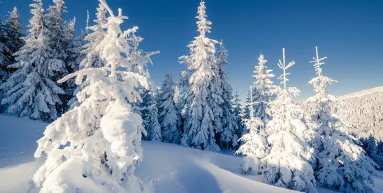 Beyond the Podium: Technology & Fashion in Alpine Skiing