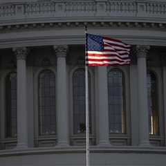 Birthright citizenship: an empirical analysis of supposedly originalist briefs