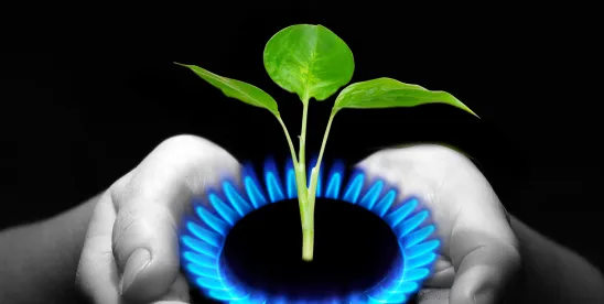 Treasury Proposes Clean Fuel Production Credit Guidance