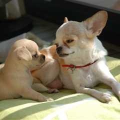 Friday Footnotes: EY Socks Away a Bunch of Money For Future Fines; Can You Leave at 5 and Still..