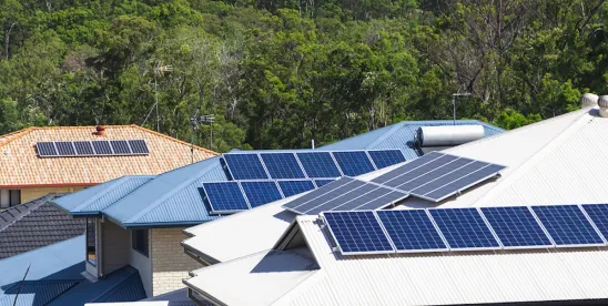 Corporate Reporting and Due Diligence Entering a New Era in the EU