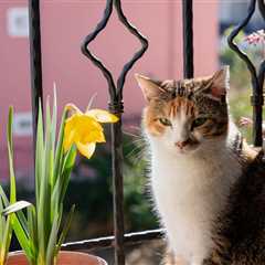 Monday Morning Accounting News Brief: KPMG Asks Hundreds of People to Go; One Big Beautiful Bill Equals Billable Hours | 3.30.26