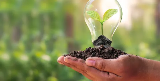 Massachusetts Court Rejects Chapter 93A Claim Challenging Alleged Unauthorized Utility and..