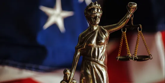 Federal Rulemaking Committee Should Require Disclosure of Litigation Funders