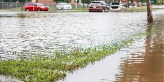 NFIP Flood Insurance Policy Pitfalls: What South Carolina Policyholders Should Know Before Disaster ..
