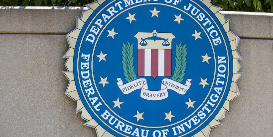 DOJ’s Extension of Government Website Accessibility Guidelines May Impact Private Sector Websites