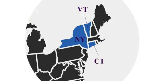 Token Fraud Decision Sets Limits on Crypto Platform Liability