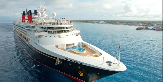 Cruise Control- Hantavirus, Rodent Control, and FIFRA’s Expanding Public Health Role