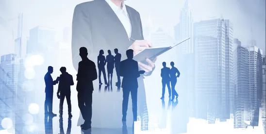 Protecting Purchased Goodwill: Sale-of-Business Restrictive Covenants Under National Scrutiny