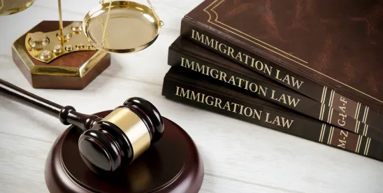 How to Qualify for an EB-2 National Interest Waiver (NIW): The Complete Guide for Professionals
