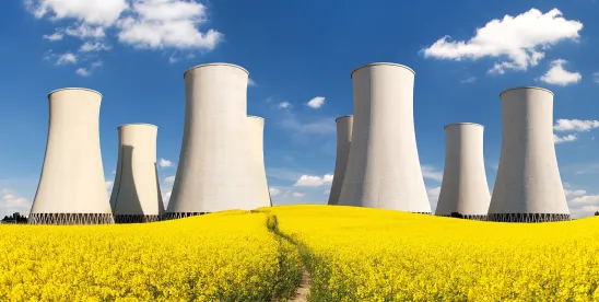 Supreme Court Leaves Door Open to State-Law-Based Tort Liability for Nuclear Licensees