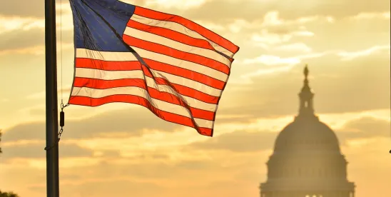 Procedural Pitfalls in Election Litigation: What Can Be Learned from Recent NYS Appellate Division..