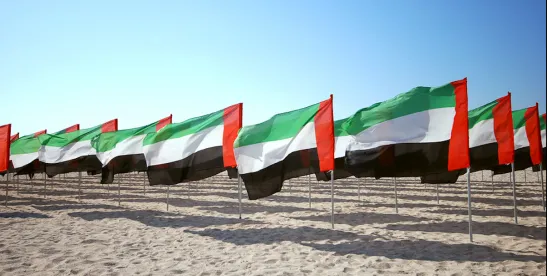 UAE Central Bank Fines Foreign Bank and Compliance Officer for Money Laundering Violations
