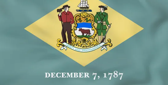 Delaware Court Applies Larger Settlement Rule to D&O Allocation Dispute