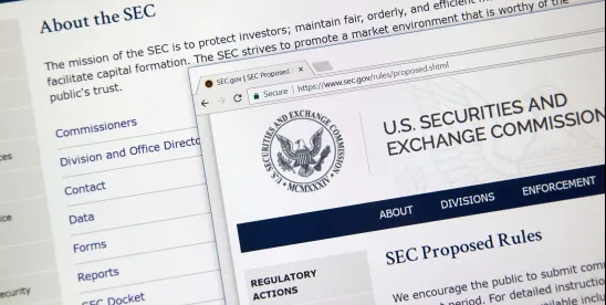 SEC Proposes Regulation E-Delivery- A New Default to Electronic Delivery Under Federal Securities..