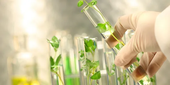 House Bill Would Establish Dedicated Biotechnology Official in State Department