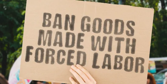 USTR Imposes New Section 301 Forced Labor Tariffs on Imports from 60 Economies