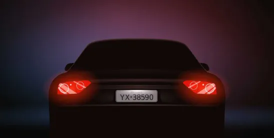 Automated License Plate Recognition (ALPR) Technology: A Potential New Wave of Privacy Litigation