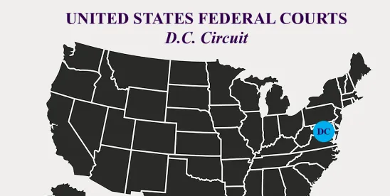 D.C. Circuit Upholds the EPA's Designation of PFOA and PFOS as Hazardous Substances Under CERCLA