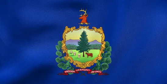 Vermont Joins Growing Consortium of State Privacy Regulators