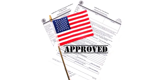 O-1A Case Study: Visa Approval for M&A Advisor from the United Kingdom