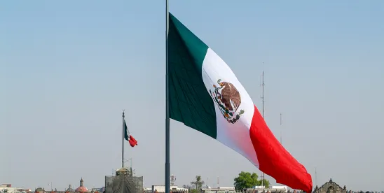 Keeping Up With Mexico’s IMSS: The Employers Registration Identification Will Be Electronic