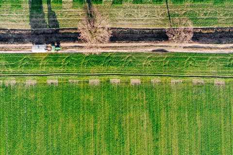 Effective Livestock Marketing & Plant Health Care in Maysville
