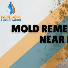 Mold Remediation Near Me